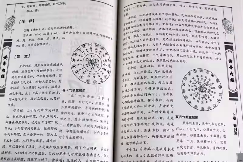 《黃帝內經》內頁展示